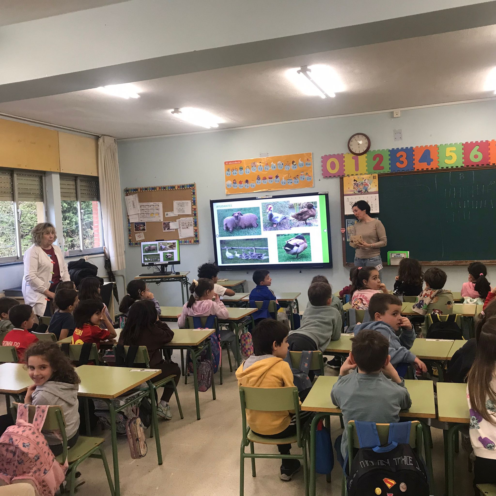 RAÍCES FUERTES, VOCES QUE TRANSFORMAN