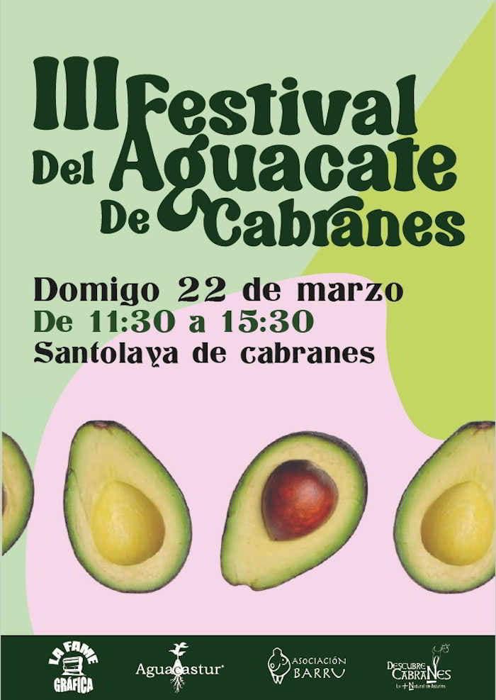 FESTIVAL DEL AGUACATE